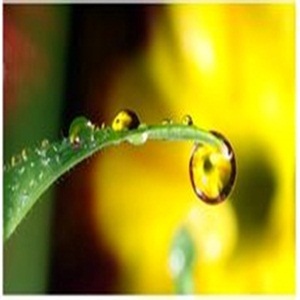 abc少儿英语怎么样 哒哒abc少儿英语靠谱吗 收