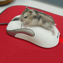 е