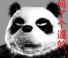 grrr_zhao