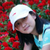 magic_rose