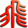 zxf_23