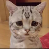 ϵ