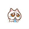 Amy_Ҧ