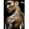 RandyOrton