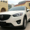 lvyongbo