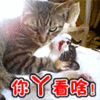 糱ˮ