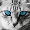 С