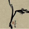 叶下听蝉