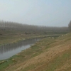 ԶжԶ
