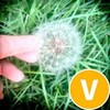 数码科技新评