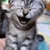 lakercat