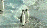 ܇壡ܱ