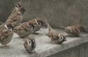 ȥ˽һ