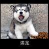 youzi36