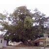 ºó
