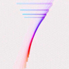 小白