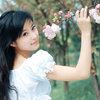 ailikenwang