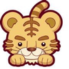 xgmshao